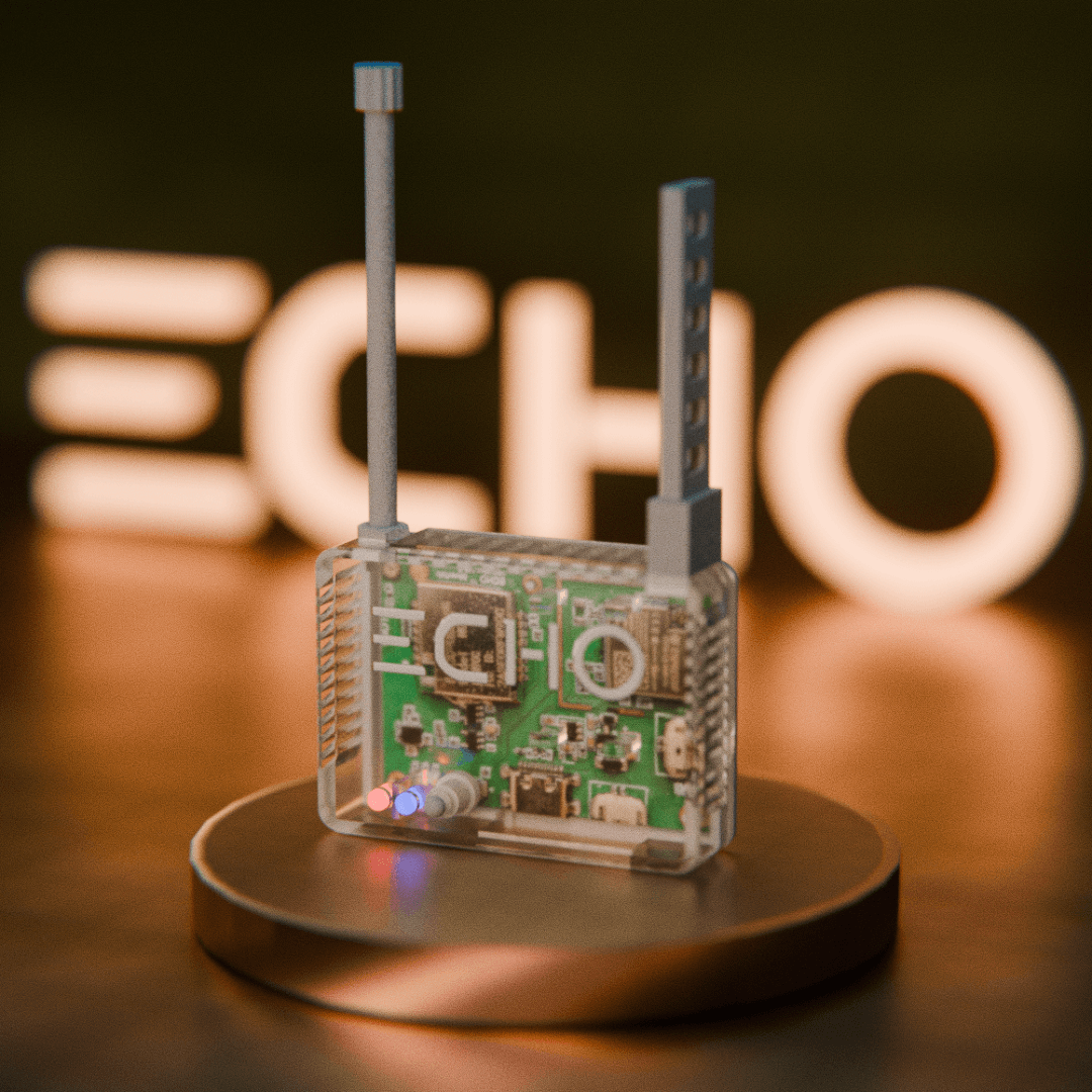 Echo Live Bluetooth device